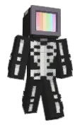 SenorGoose