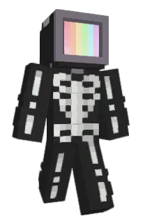 Front of SenorGoose's skin