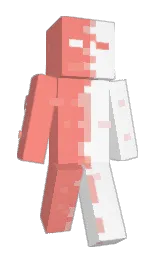Minecraft skin — Classic model