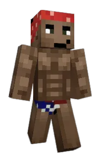 Front of Minecraft skin