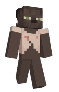 Front of ILOVESEALS2012's skin