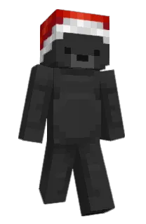 Front of 229b's skin