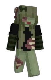 Skin preview