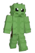 TurtleWuirtle