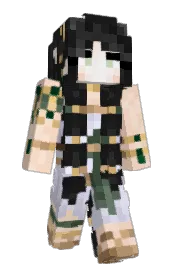 Skin preview
