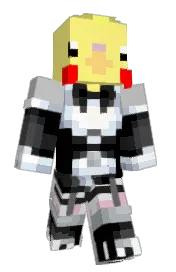 Skin preview