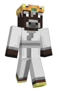 Front of __Almighty's skin