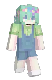 Skin preview