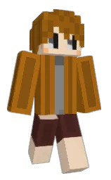 Minecraft skin — Classic model
