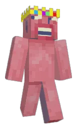 new york pink and my pink Minecraft skin — Classic model