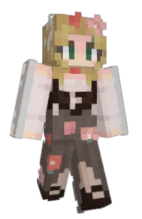 Front of acciowaffle's skin