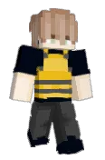xsim