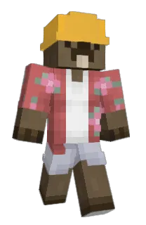 Front of wgpt's skin