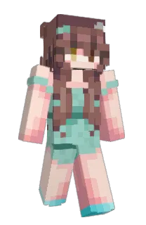 Front of Nuvola21's skin