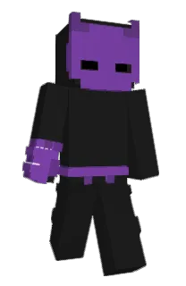 Front of Porturtle's skin