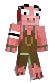 8nils8 Minecraft avatar full body