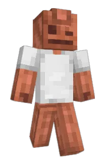 8ocian Minecraft avatar full body