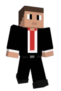 8tomba Minecraft avatar full body