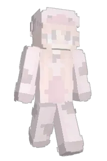 8unnee Minecraft avatar full body
