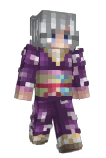8vs8 Minecraft avatar full body