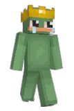 8wm Minecraft avatar full body