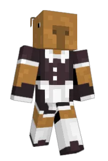 8wu Minecraft avatar full body