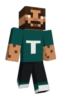 359TaF's Minecraft skin