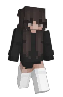 Front of CompilerJIT's skin