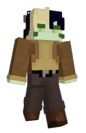 Skin preview