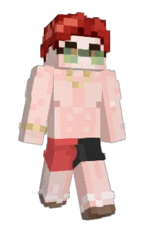 Front of Ro_fox_'s skin