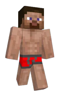 Front of Minecraft skin