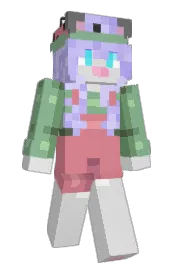 Skin preview