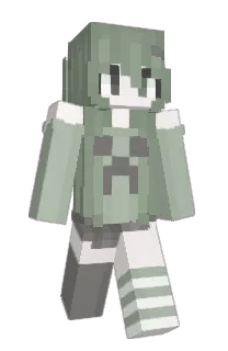 Front of SaltyyCement's skin