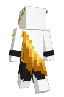 902fps Minecraft avatar full body