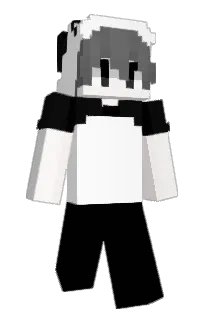 Front of wrq's skin