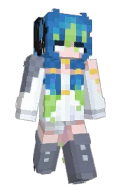 Skin preview