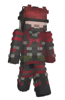 Front of Swainsy's skin