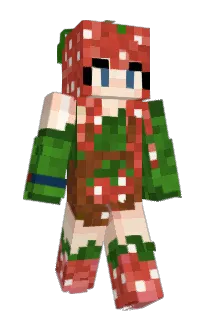 Front of Minecraft skin