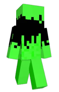 ParS2020's Minecraft skin
