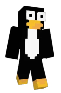 Front of arj's skin