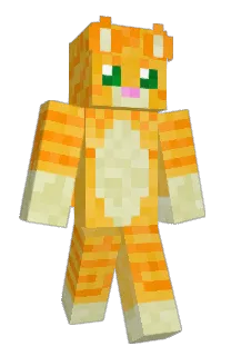 Front of _Leeup's skin
