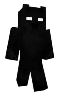 Front of qlvz's skin
