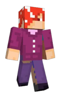 raizinnDX's Minecraft skin