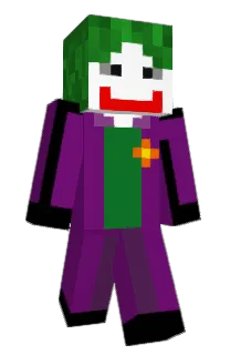 Front of BotIPM's skin