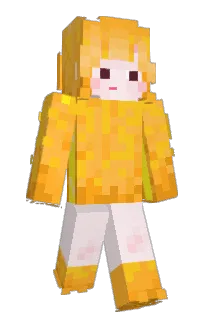 Front of YESE11's skin