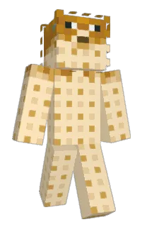 Front of Ikeabea's skin