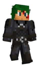 Back of tigerTMD's skin