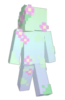 Front of Remyiez's skin