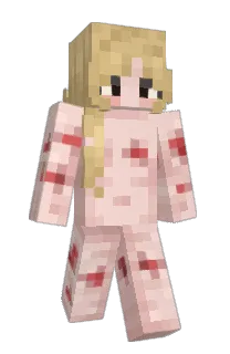 Front of TEPPAKT's skin