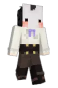 catt_disc
